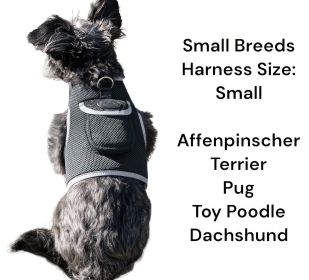 Hunting Made Easy w/ NEW Pet Tracker GPS Tracking Collars for Hunting Dogs Size:M Hunting Made Easy w/ NEW Pet Tracker GPS Tracking Collars for Hunting Dogs Size:M